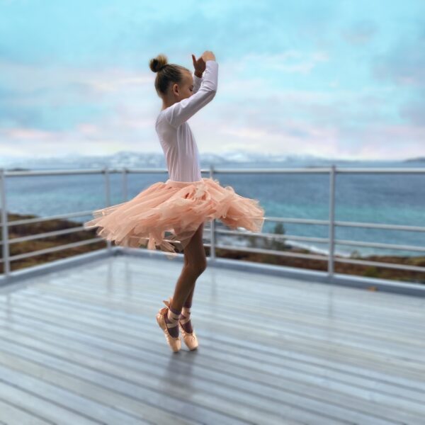 Ballerinafintskjørt - Bilde 5