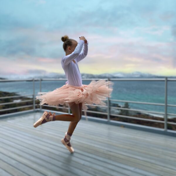 Ballerinafintskjørt - Bilde 6