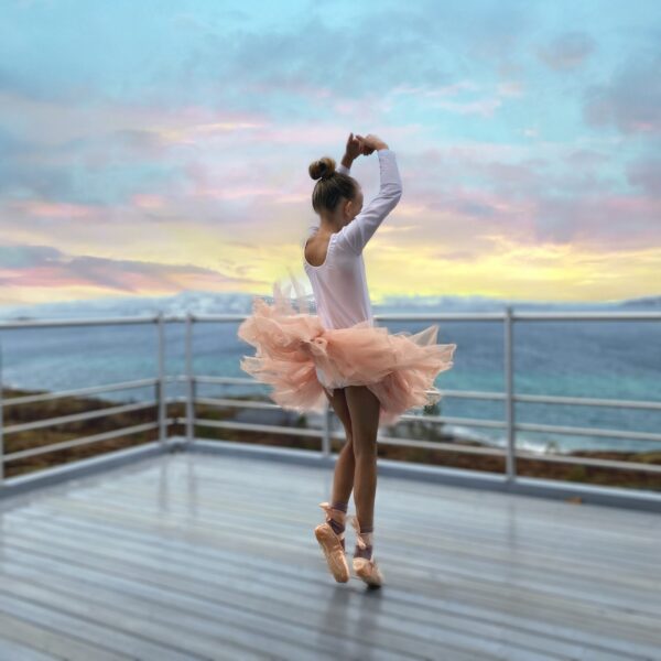 Ballerinafintskjørt - Bilde 7