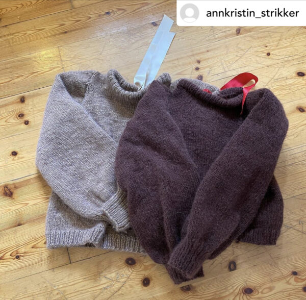 Stjernestøvgenseren - voksen - Bilde 20