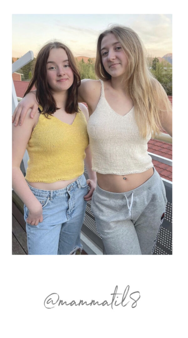 Blondetoppen - Bilde 13