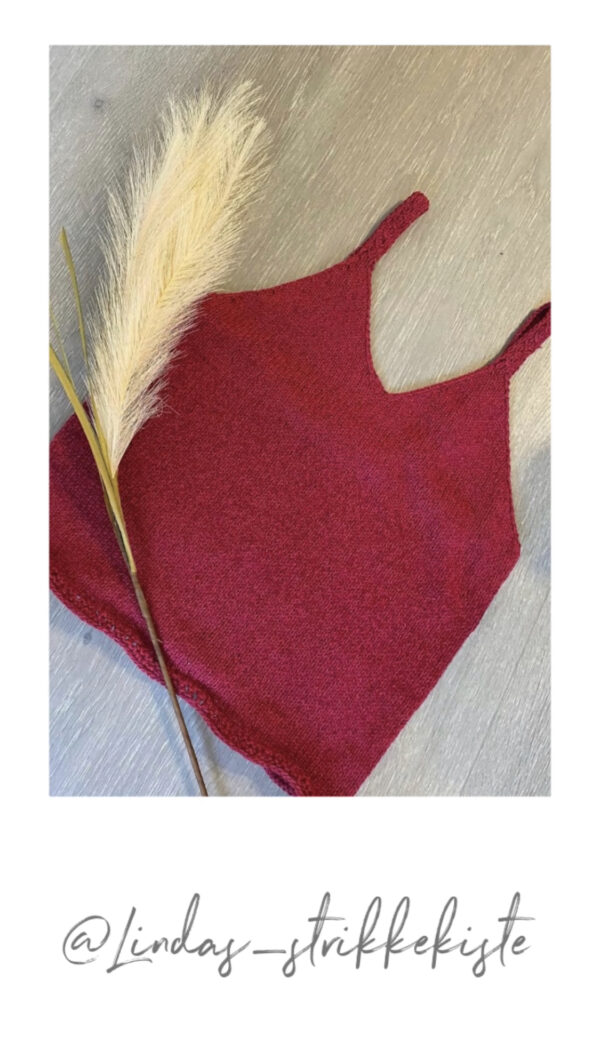 Blondetoppen - Bilde 8